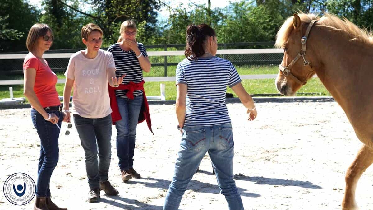Coaching mit Pferden Coaching mit Pferden Ausbildung