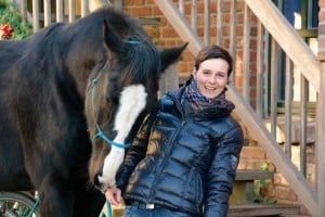 Mit Pferden arbeiten