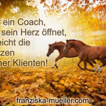 Coaching Pferde