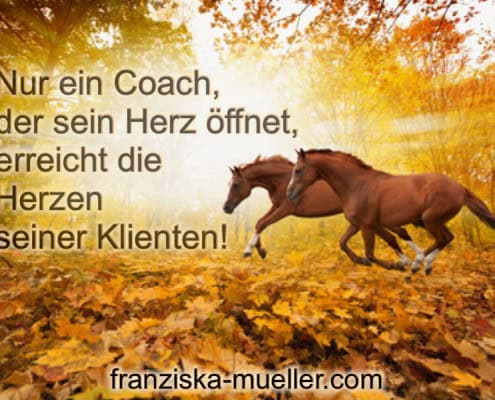 Coaching Pferde