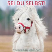Pferdegestütztes Coaching Weiterbildung