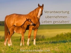 Pferdeunterstütztes Coaching Ausbildung Zürich