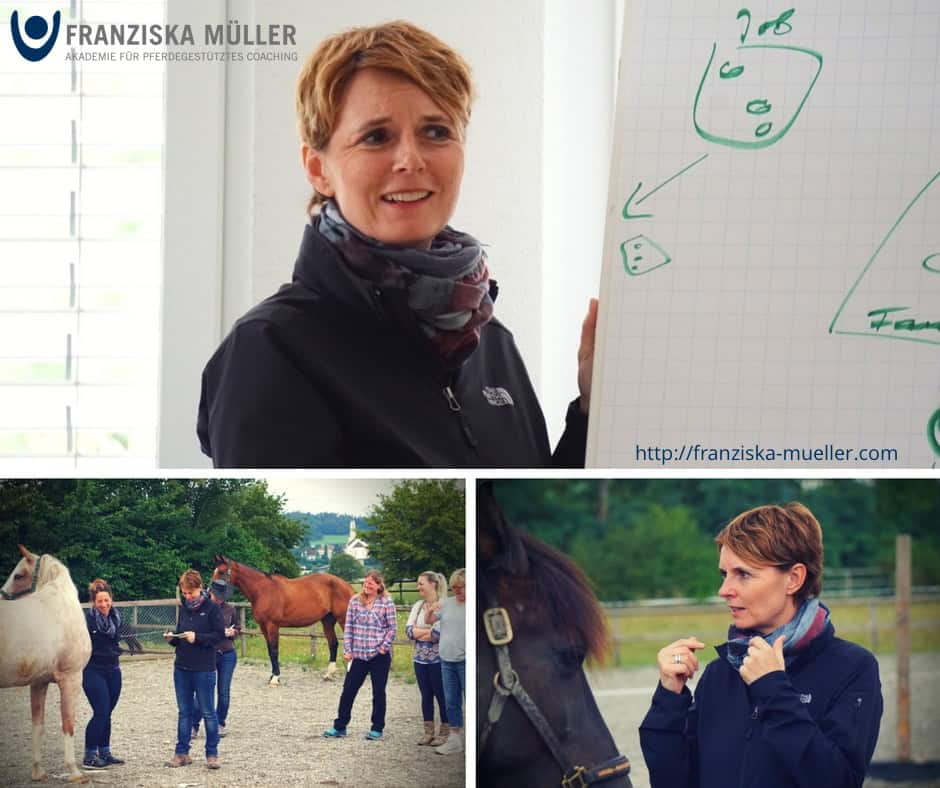 Reitcoach Ausbildung