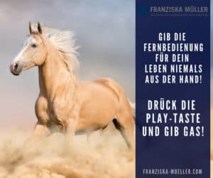 Pferde als Coach Ausbildung