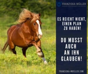 coaching mit Pferden Ausbildung europaweit