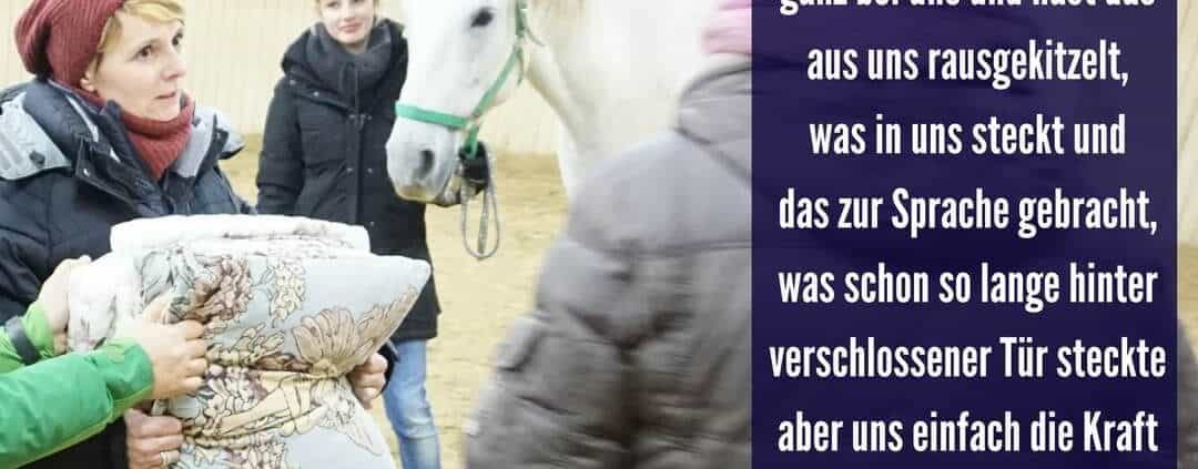 Reitlehrer Coach Ausbildung