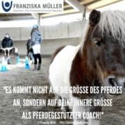 Coaching und Pferd