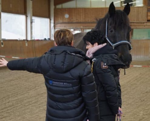 Persönlichkeitstraining Pferde