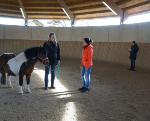 Pferdegestütztes Coaching Ausbildung