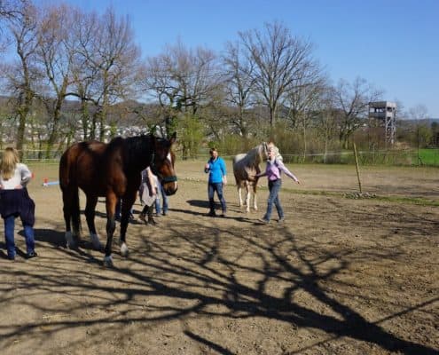 Pferdegestützte Persönlichkeitsentwicklung