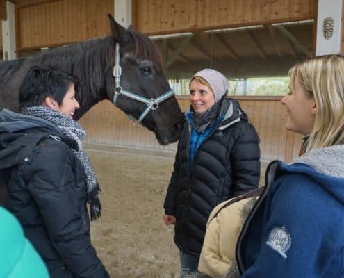 Pferdeunterstütztes Coaching