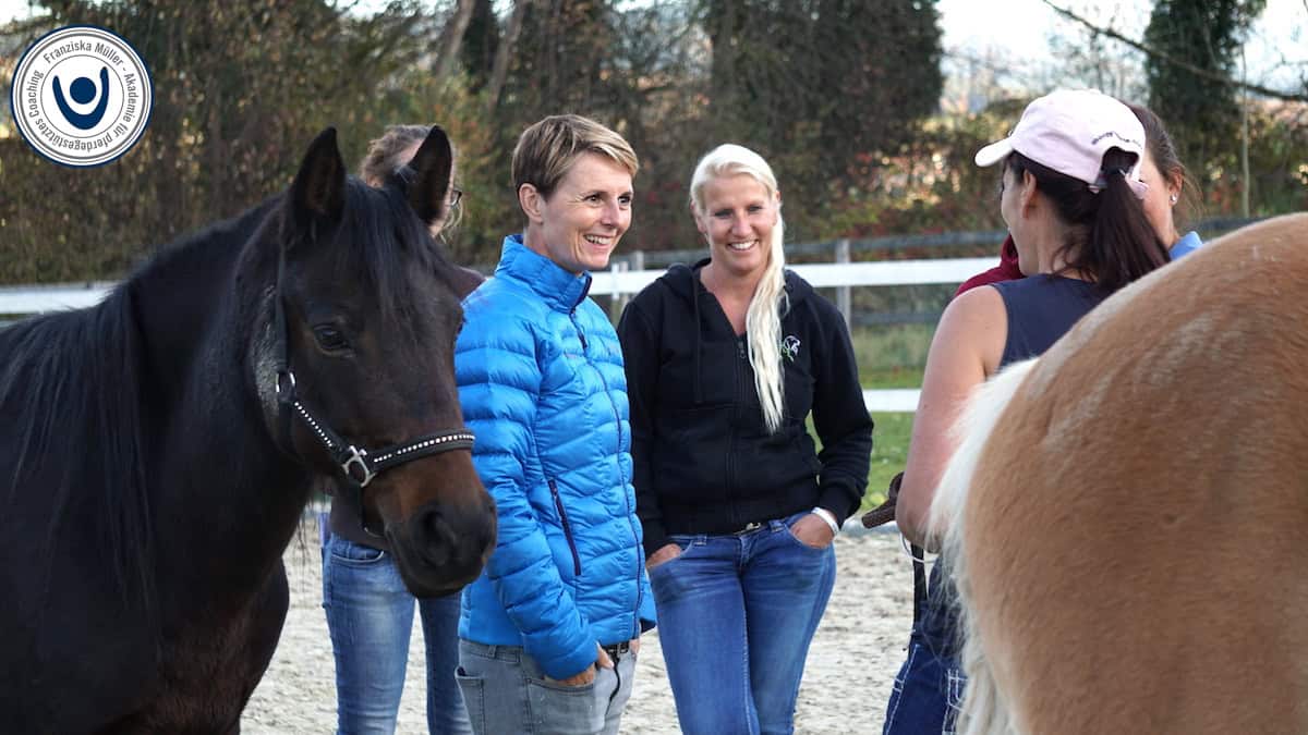 Fuehrung Pferde Kurs Pferd als Coach