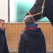 Pferdegestütztes Training