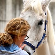 Pferdegestützter Coach Weiterbildung Schweiz