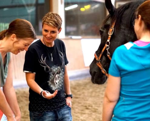 Horsecoaching Weiterbildung