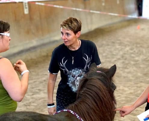 Horse Assisted Coach Kurs