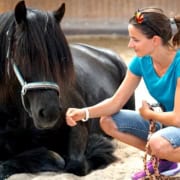 Pferde stärken Menschen