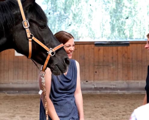 Horse Assisted Coaching Ausbildung Schweiz