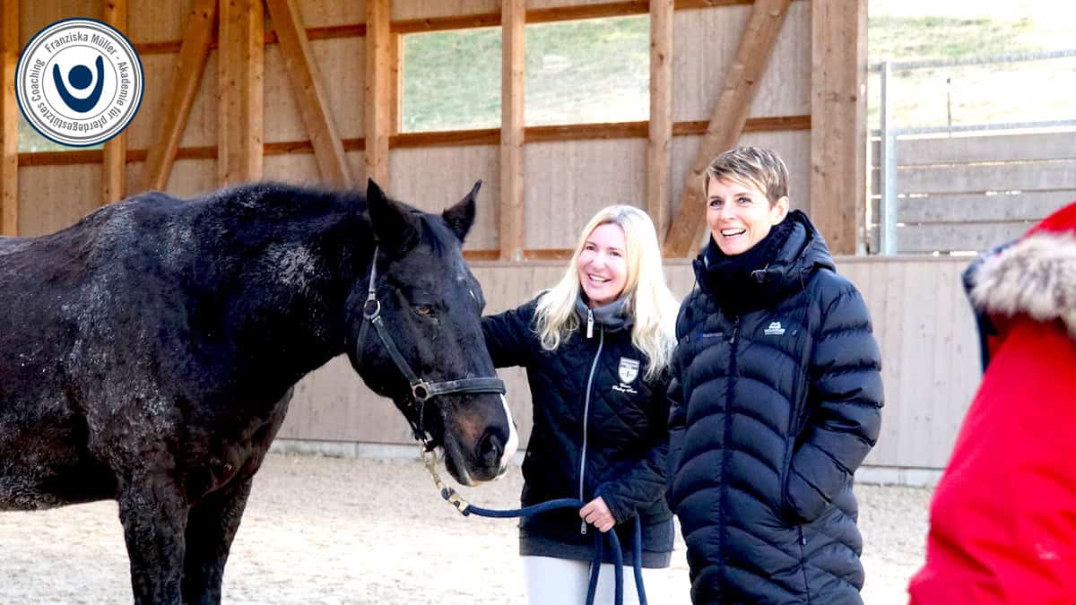 Pferdegestützte Ausbildung