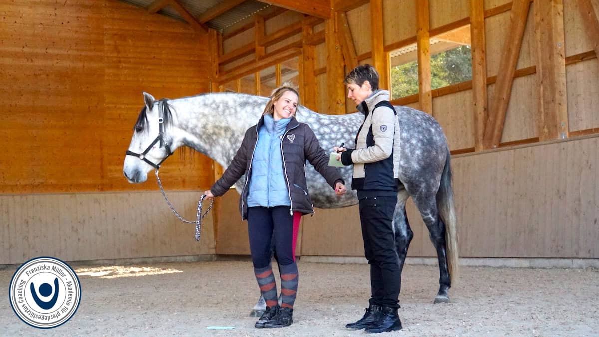 Pferdegestützte Ausbildung