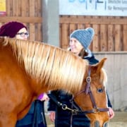 Pferdegestützte Ausbildung