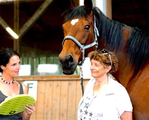 Pferdegestützte Ausbildung