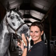 Führung Pferde Seminar