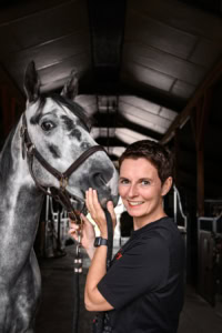 Führung Pferde Seminar