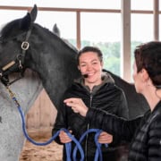 Mindmirror® Coaching mit Pferden
