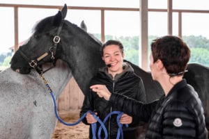 Mindmirror® Coaching mit Pferden