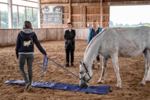 Pferde Coach Franziska Müller