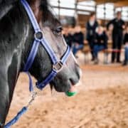 Helden des MINDMIRROR®-Coachings