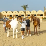 Vorteile der pferdegestützten Ausbildung