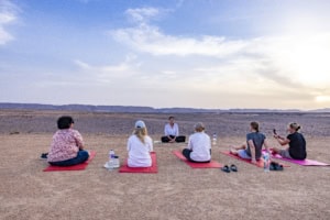 coaching mit Pferden Ausbildung