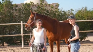 pferdecoaching ausbildung