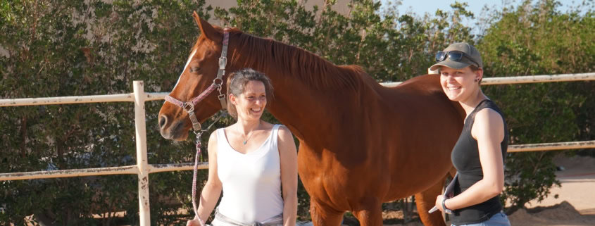 pferdecoaching ausbildung