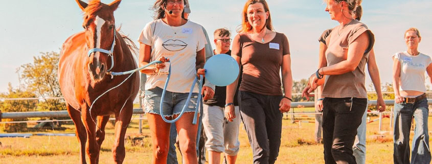 mit Pferden arbeiten