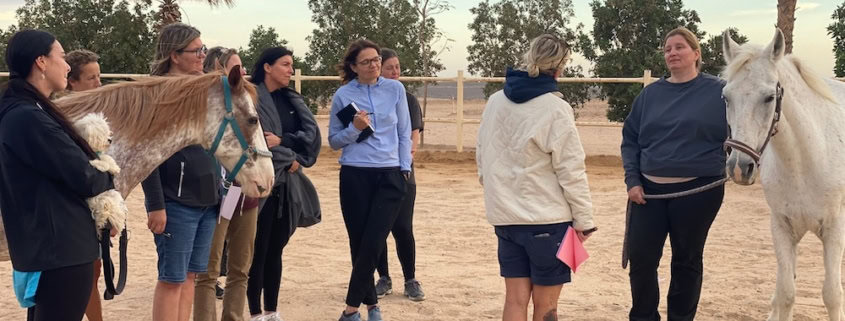 pferdecoaching ausbildung