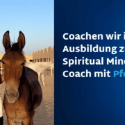 pferdegestütztes spirituelles coaching