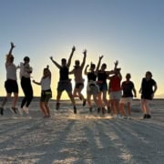 pferdecoaching ausbildung