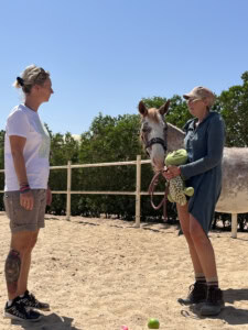 Vorteile der pferdegestützten Ausbildung