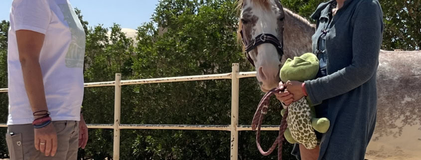 Vorteile der pferdegestützten Ausbildung