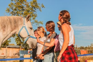 pferdegestützter coach ausbildung