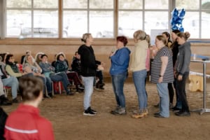 pferdegestütztes coaching Deutschland Österreich Schweiz