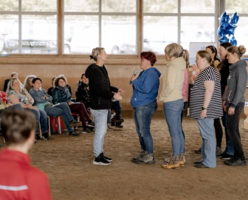 pferdegestütztes coaching Deutschland Österreich Schweiz