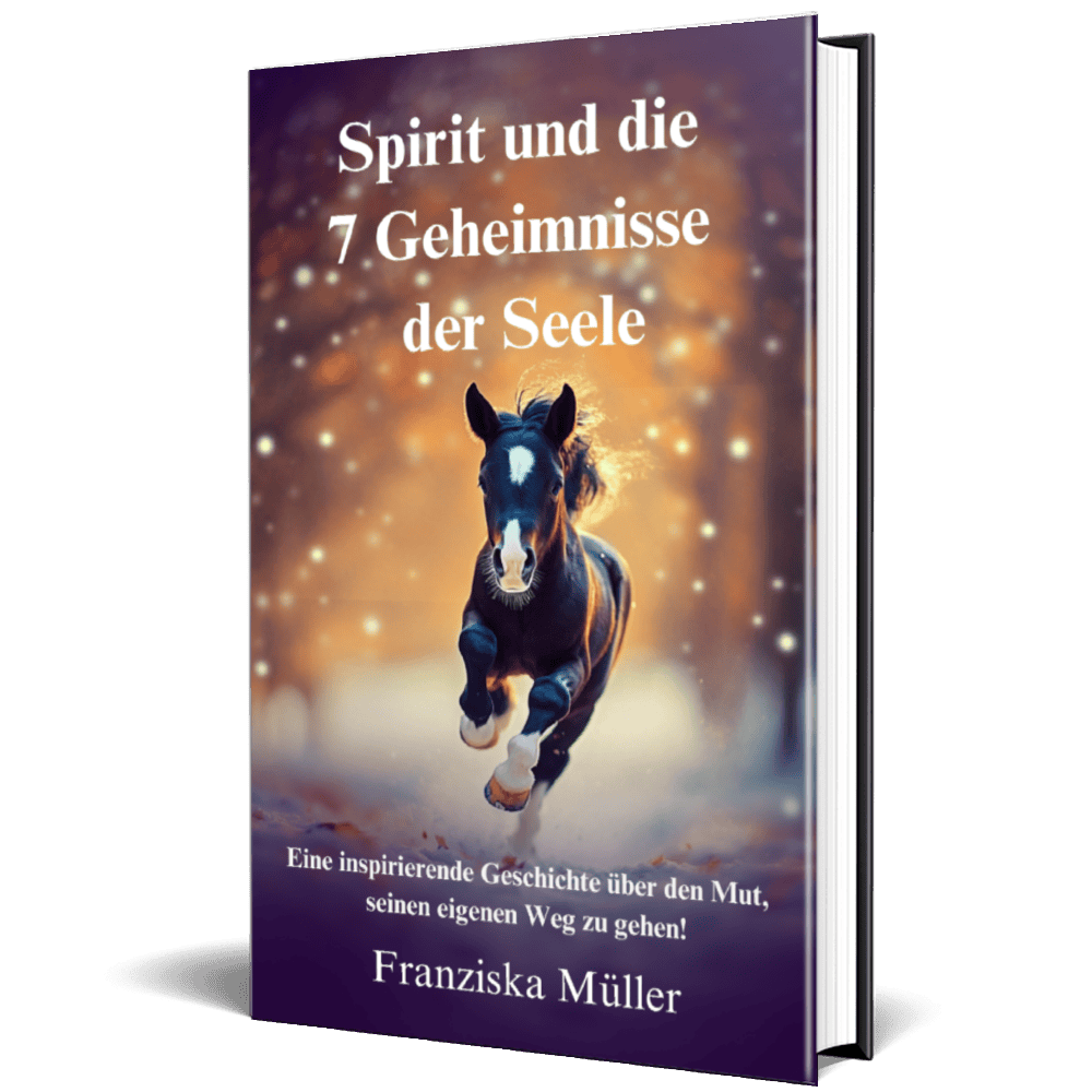 Spirit und die 7 Geheimnisse der Seele