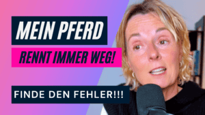 spirit and you festival göttingen