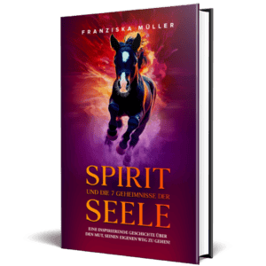 spirit und die 7 geheimnisse der seele