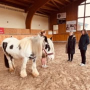 Pferdegestütztes Coaching Intensiv-Ausbildung