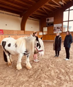 Pferdegestütztes Coaching Intensiv-Ausbildung